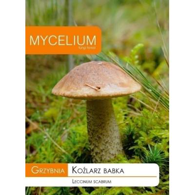 Grzybnia koźlarz babka 10g Mycelium - 1