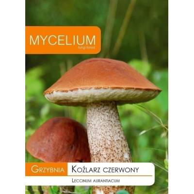 Grzybnia koźlarz czerwony 10g Mycelium - 1