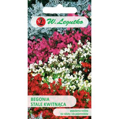 Begonia stale kwitnąca Gloria F1 różowa  0,1g Legutko0,1g Legutko - 1