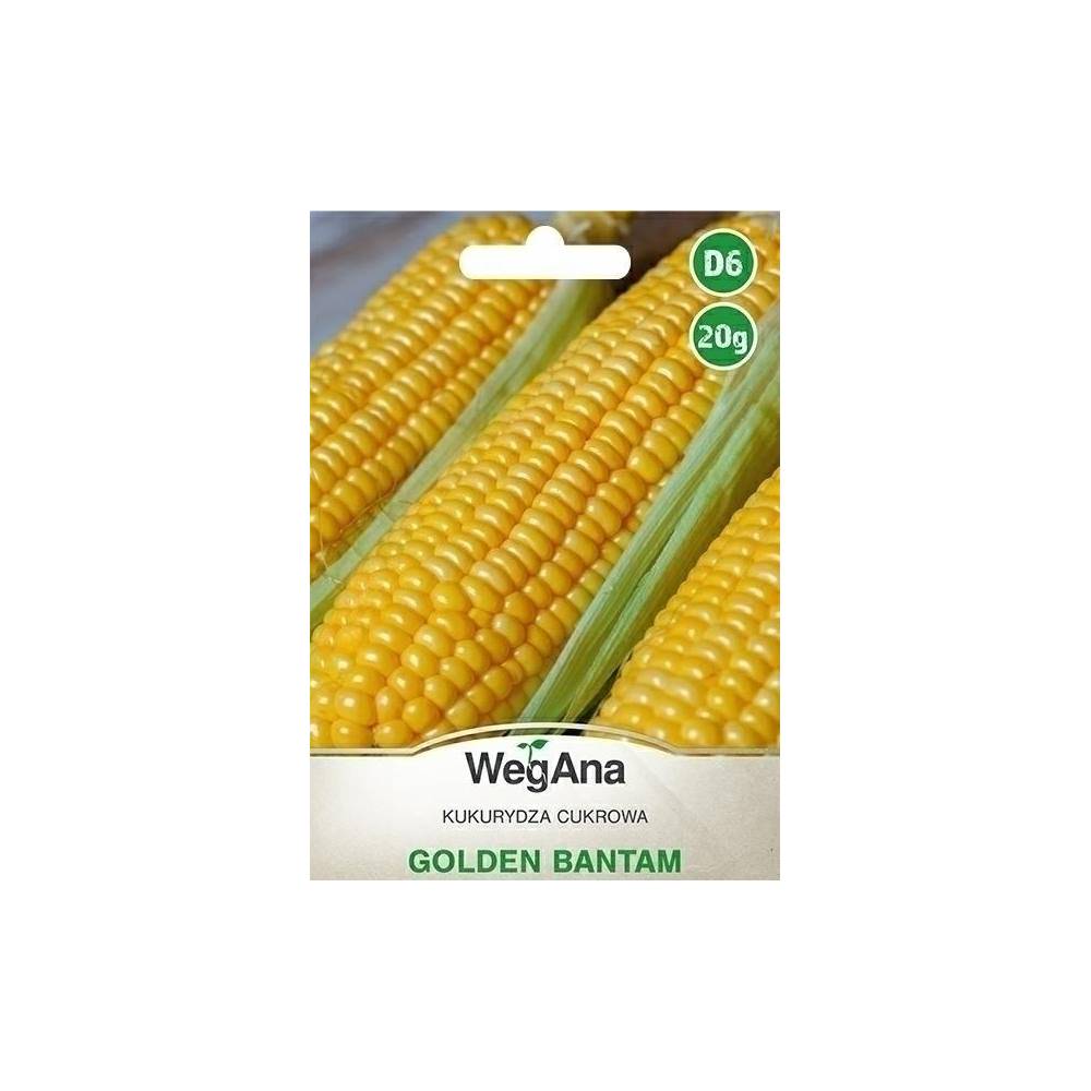 Kukurydza cukrowa Golden Bantam 20g -    WegAna - 1
