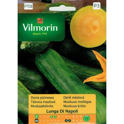 Dynia piżmowa Lunga di Napoli 2g         Vilmorin Premium - 1