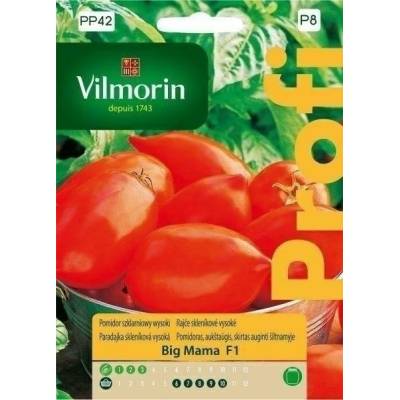 Pomidor szklarniowy, wysoki Big Mama  F1 15z  Vilmorin Premium - 1