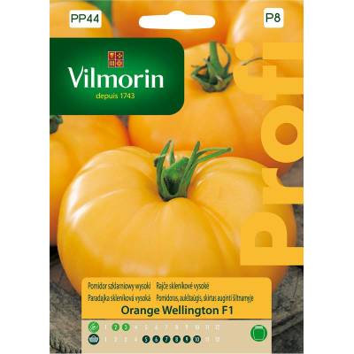 Pomidor szklarniowy, wysoki Orange       Wellington F1 0,1g Vilmorin Premium - 1