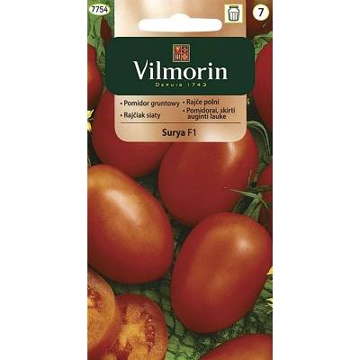 Pomidor gruntowy karłowy Surya 0,2g      Vilmorin - 1