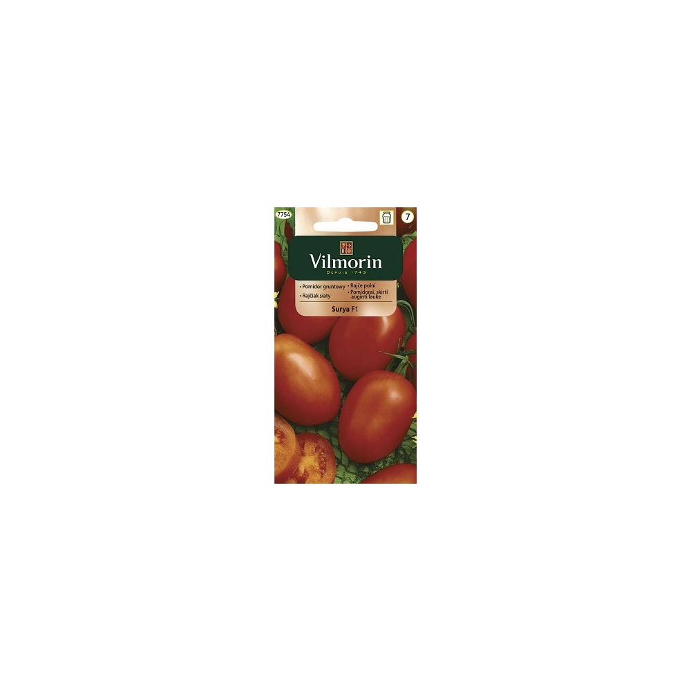 Pomidor gruntowy karłowy Surya 0,2g      Vilmorin - 1