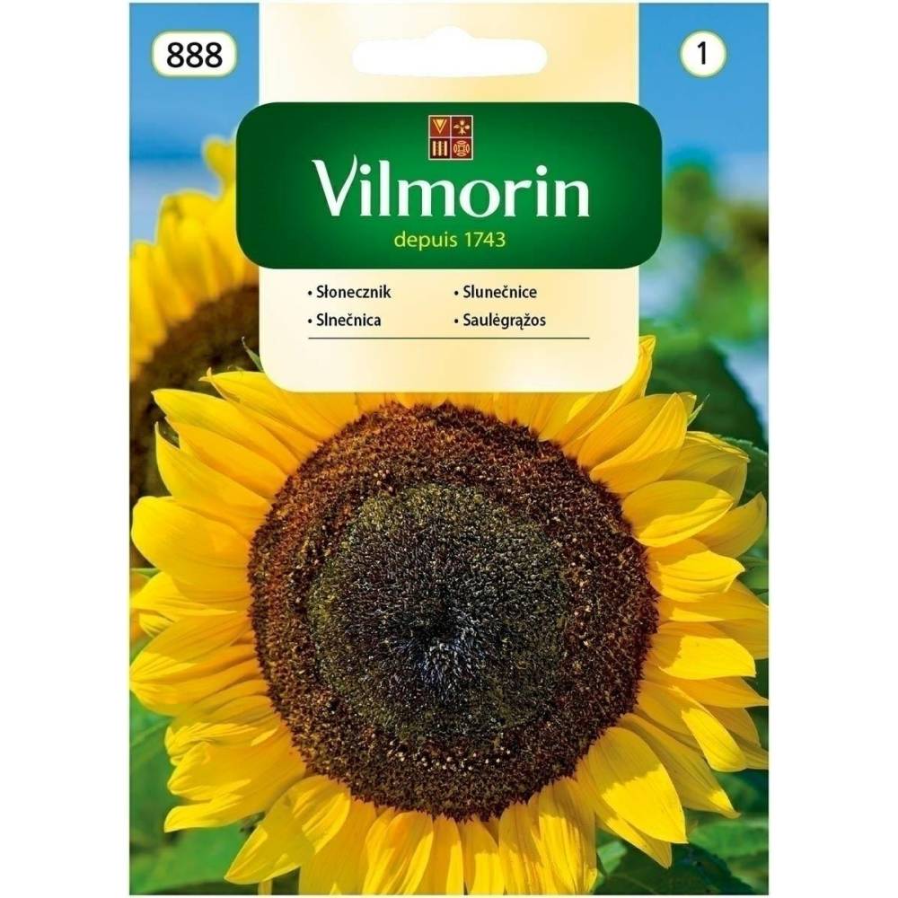 Słonecznik ogrodowy 20g Vilmorin - 1