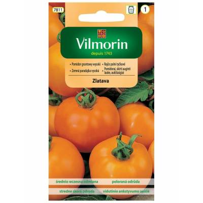 Pomidor gruntowy wysoki Zlatava 0,2g     Vilmorin - 1