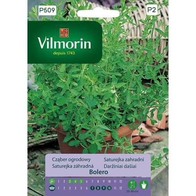 Cząber ogrodowy, wieloletni Bolero 0,5g  Vilmorin Premium - 1