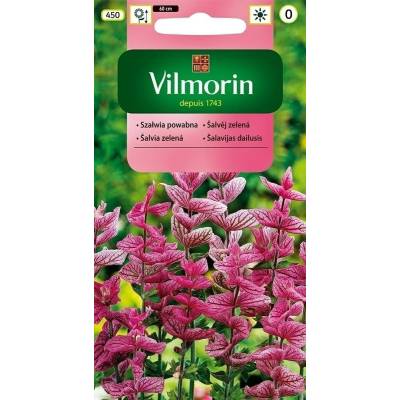 Szałwia powabna różowa 0,5g Vilmorin - 1