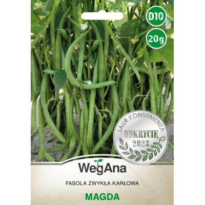 Fasola szparagowa karłowa                zielonostrąkowa Magda 20g - WegAna - 1