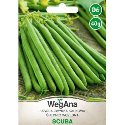 Fasola szparagowa karłowa                zielonostrąkowa Scuba 40g - WegAna - 1
