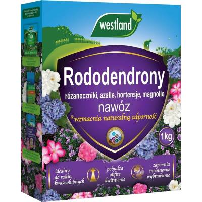 Nawóz Westland do rododendronów 1kg - 1