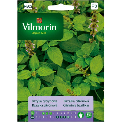 Bazylia cytrynowa 0,5g Vilmorin Premium                                                                                         