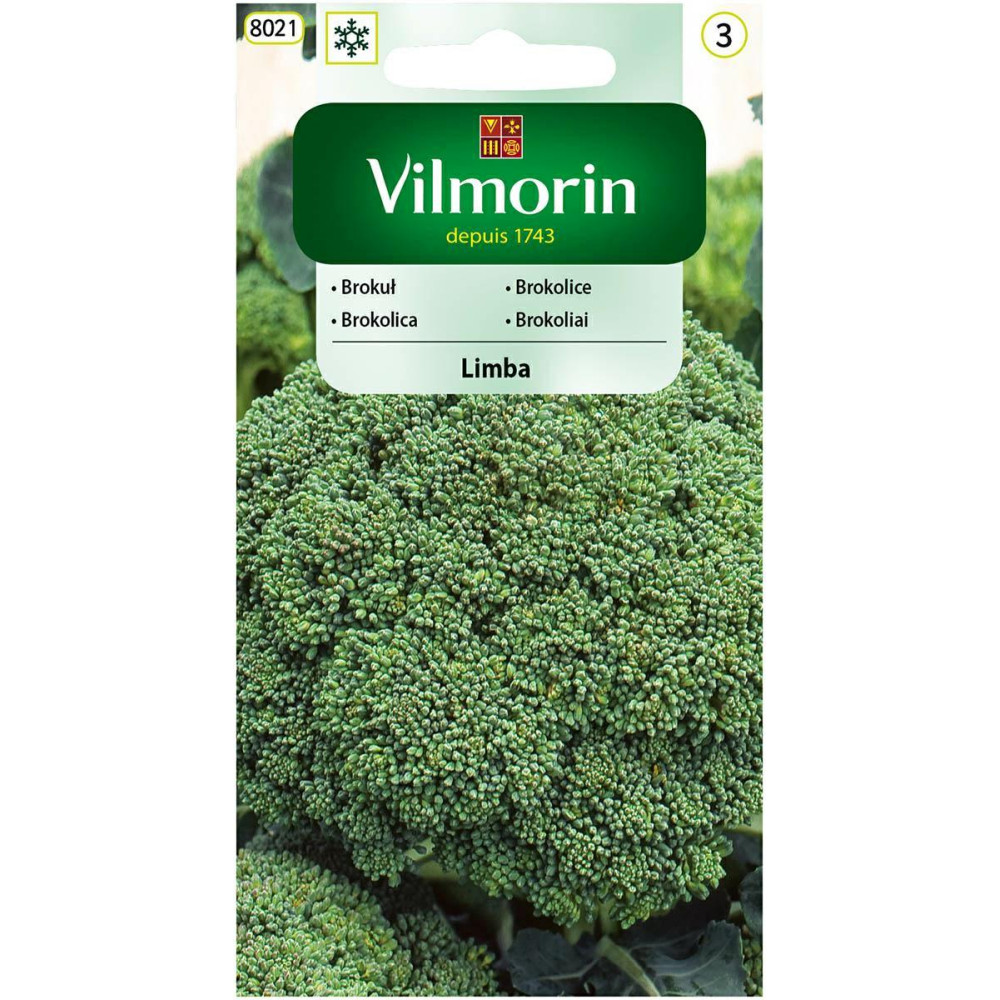 Brokuł Limba zielony 1g Vilmorin - 1