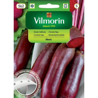 Burak ćwikłowy Alexis 6m - warzywa na    taśmie Vilmorin - 1