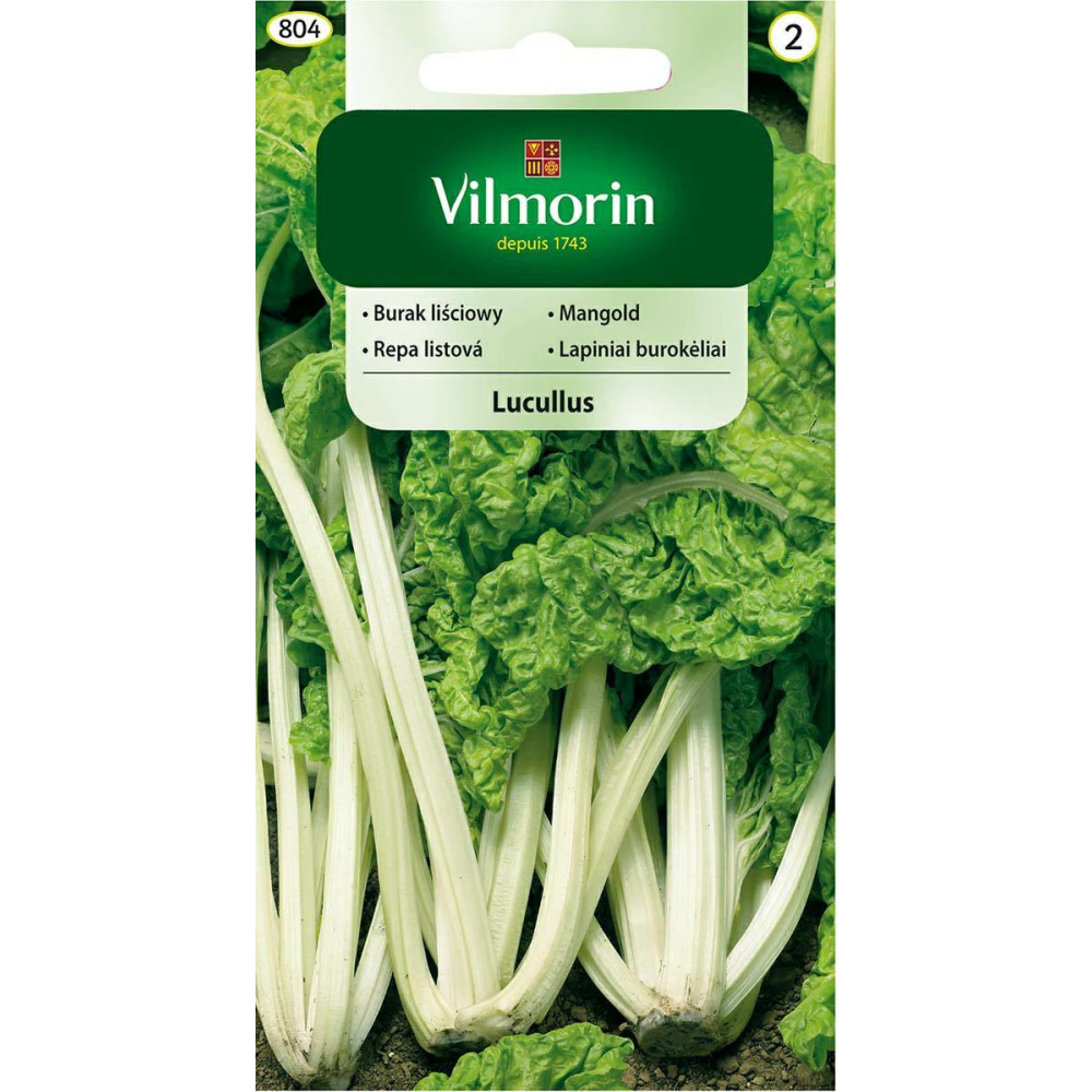Burak liściowy Lucullus 10g Vilmorin - 1