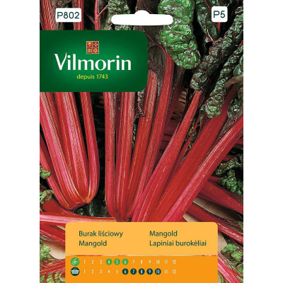 Burak liściowy Rhubarb Chard 10g         Vilmorin Premium - 1