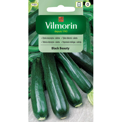 Cukinia zielona Black Beauty 2g - dynia  zwyczajna Vilmorin - 1
