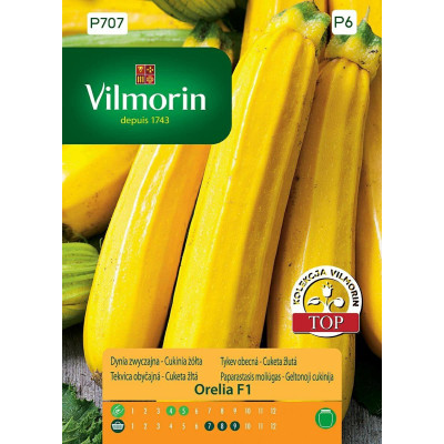 Cukinia żółta Orelia F1 2g - Dynia       zwyczajna Vilmorin Premium - 1