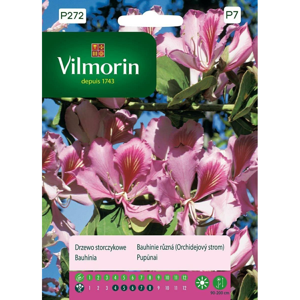 Drzewo Storczykowe 6g Vilmorin Premium - 1