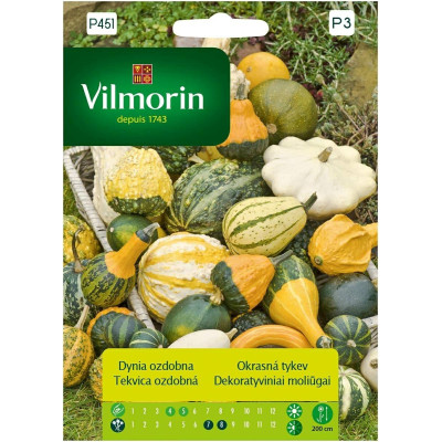 Dynia ozdobna mieszanka 2g Vilmorin      Premium - 1