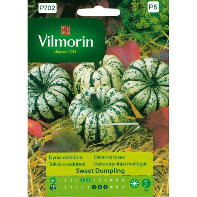 Dynia ozdobna Sweet Dumpling 2g Vilmorin Premium - 1