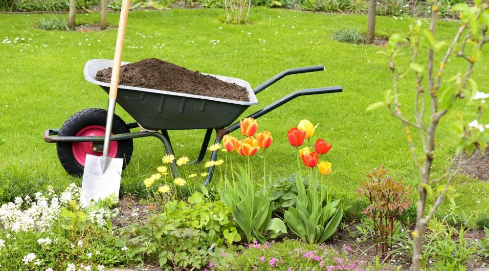 Maszyny niezbędne do codziennych prac ogrodowych